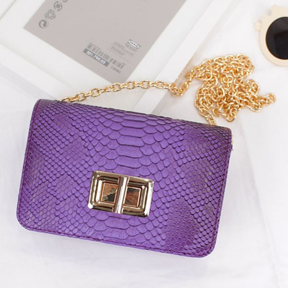 Retro Crossbodytas Met Serpentineketting