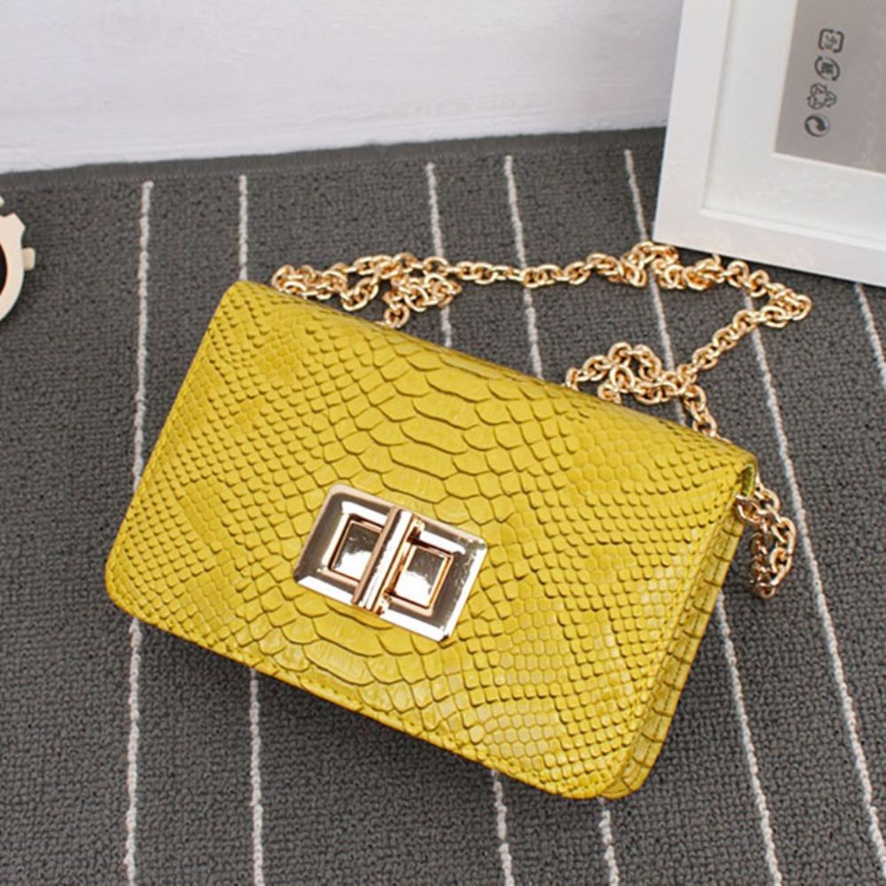 Retro Crossbodytas Met Serpentineketting