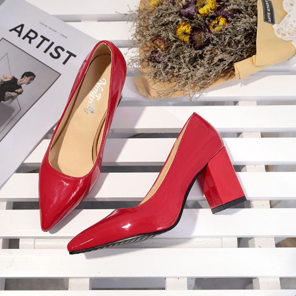 Professionele Effen Dikke Pumps Met Spitse Neus