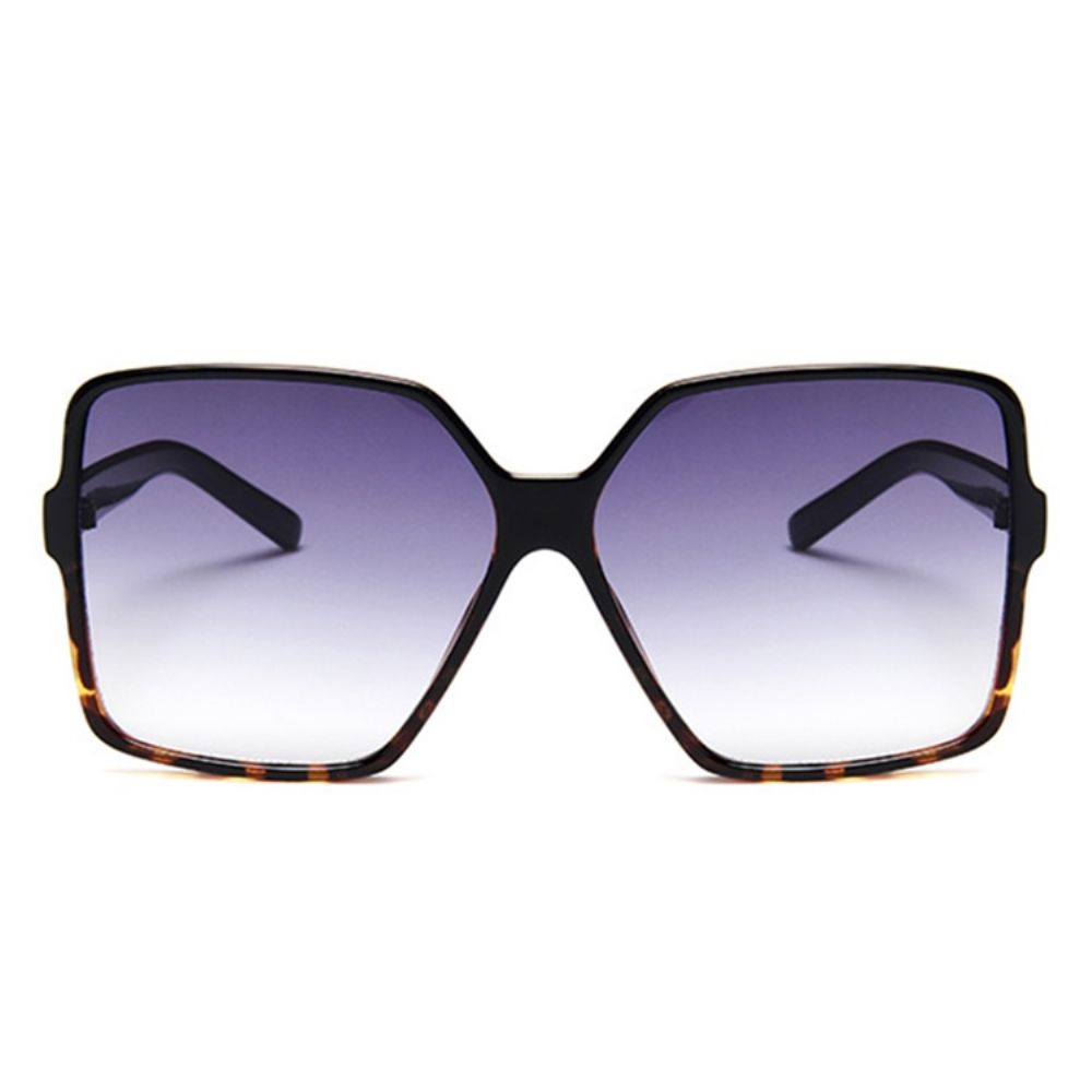 Vintage Resin-Zonnebril Dames