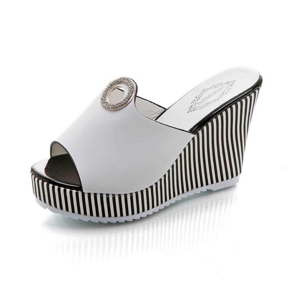 Zomerslippers Dames Met Sleehak En Plateauzool