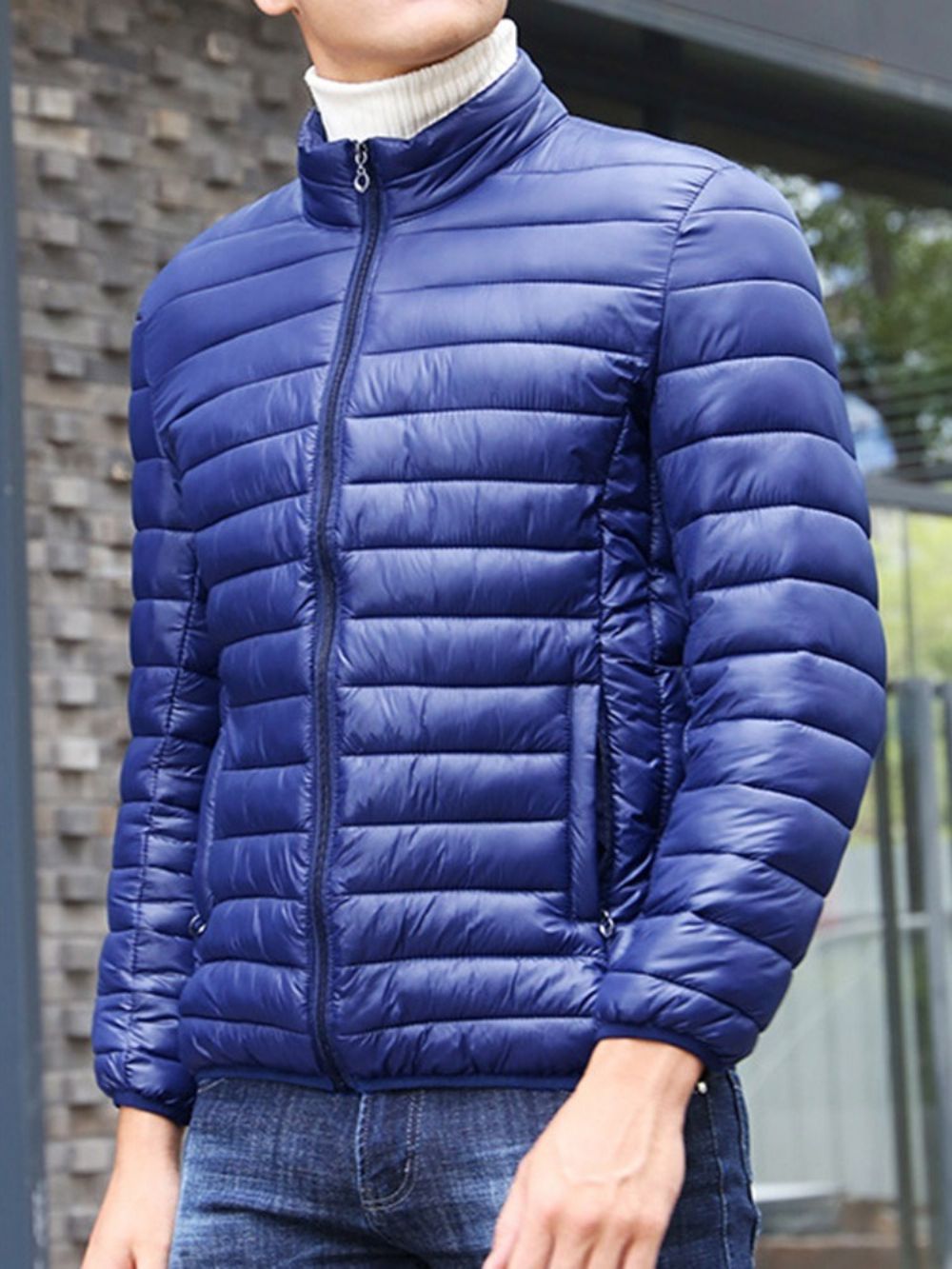 Opstaande Kraag Effen Rits Casual Donsjack Heren